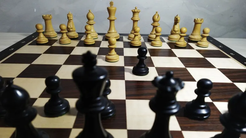 The Journey Into the Scandinavian Defense Jungle