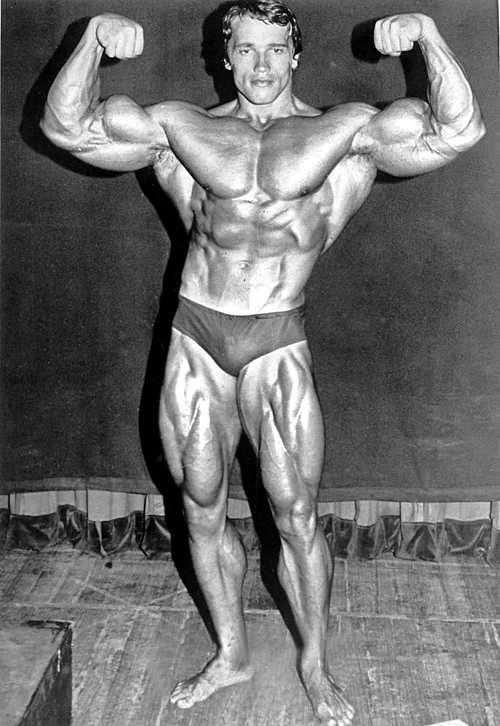  Arnold Schwarzenegger 