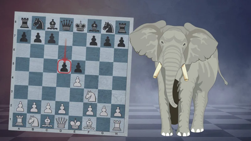 Elephant Gambit | The Refutation