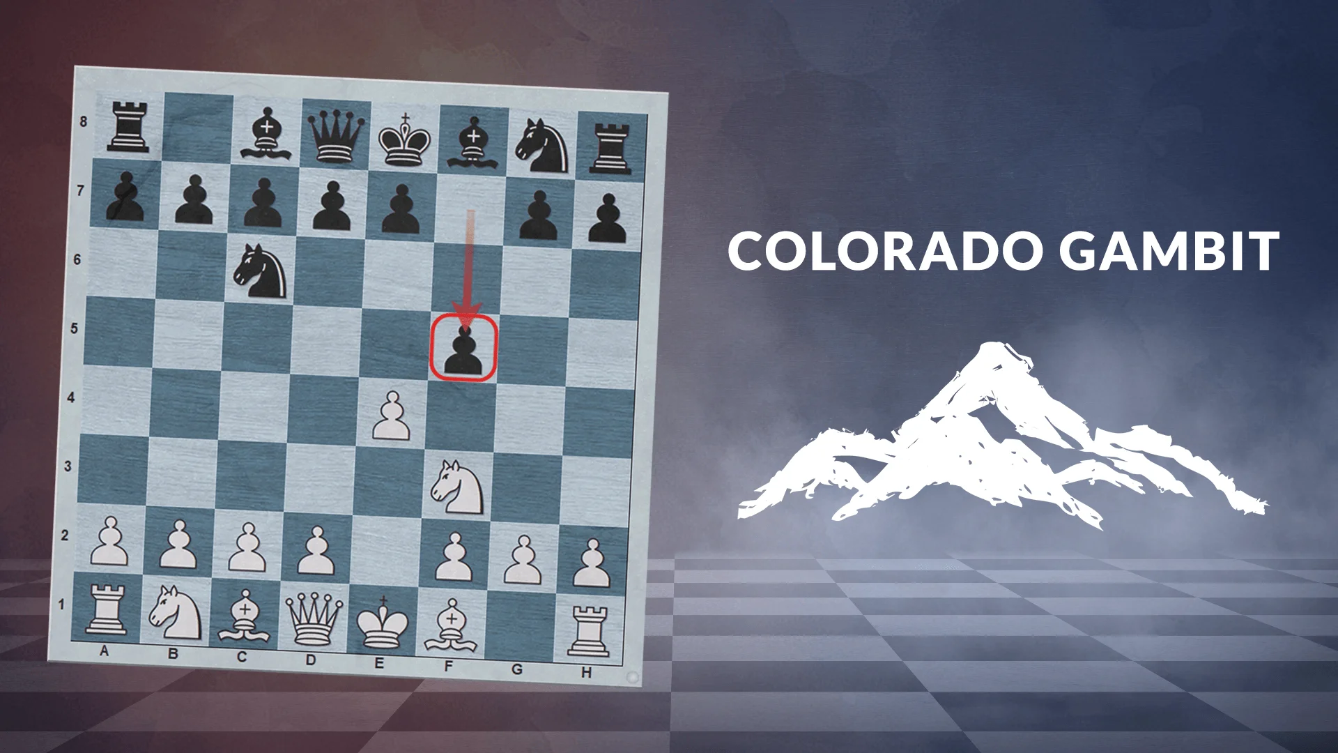 A Complete Guide to Crush the Colorado Gambit