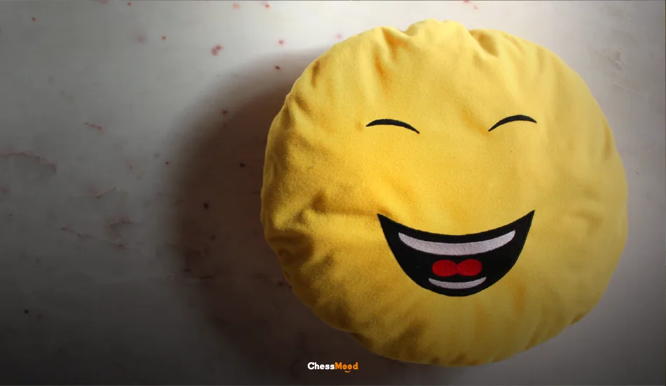 The Smiling Pillow, Todd Herman, and the Thief