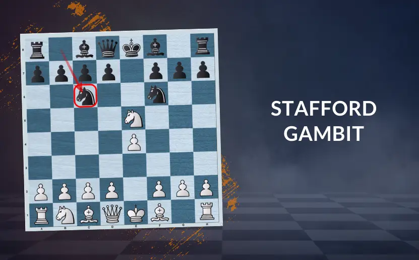 Stafford Gambit | The Refutation