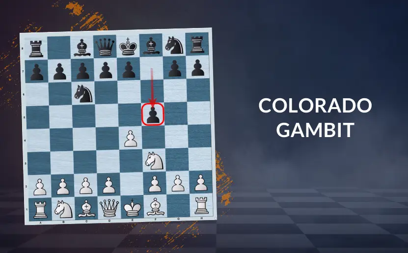 Colorado Gambit | The Refutation