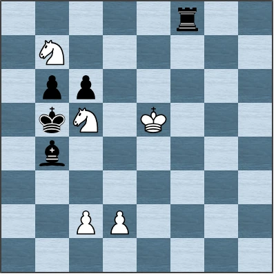 Puzzle image
