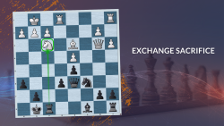 Webinar: Exchange Sacrifice, Typical Positions and Ideas